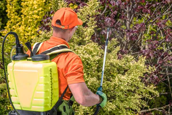 Tree fertilization service in Hilliard, Ohio