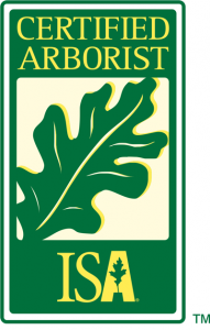 Columbus Ohio Certified Arborist