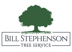 Bill Stephenson Tree Service